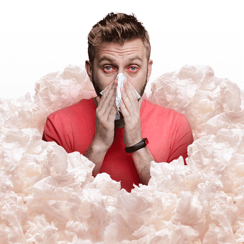Man in Pile of Tissues Suffering from Allergies